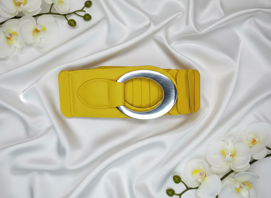Ceinture Ariella rappel couleur sophistiqué, vue complète - ceinture facile d'entretien chiffon humide pour femmes aimant changer style et couleur, addition parfaite garde-robe